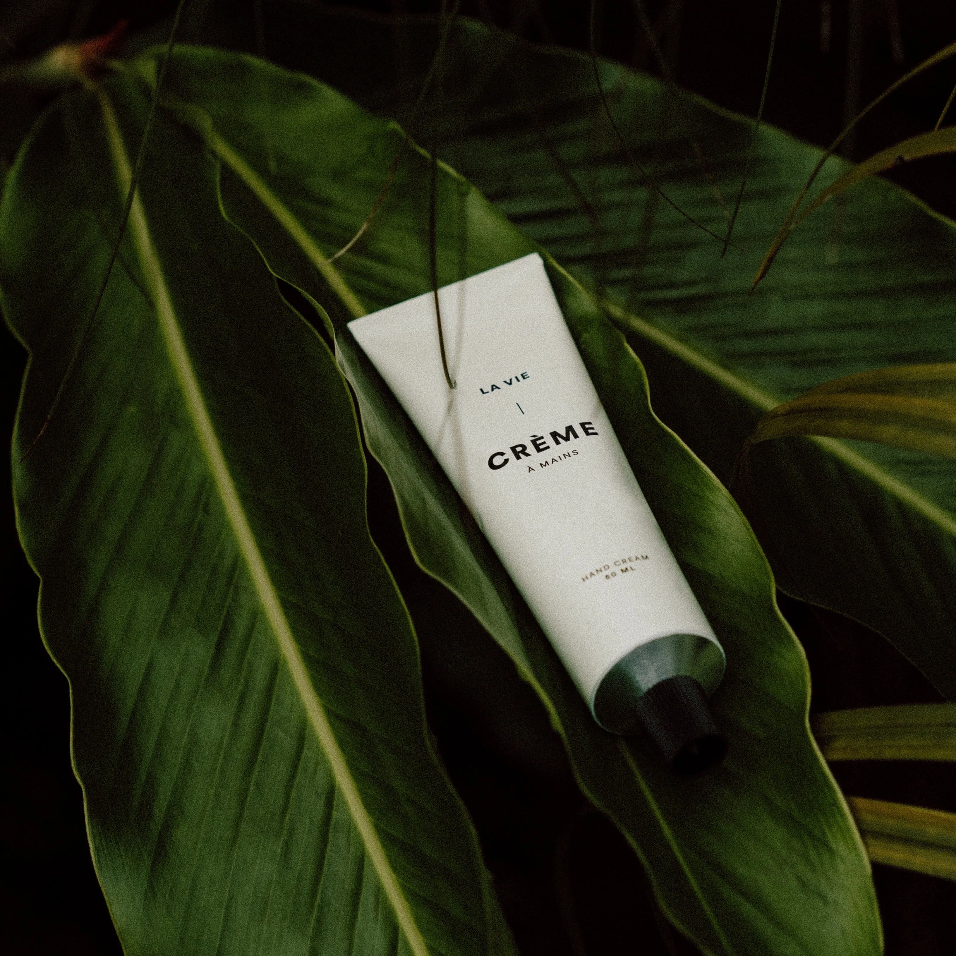 Hand Cream – Bergamot Clementine