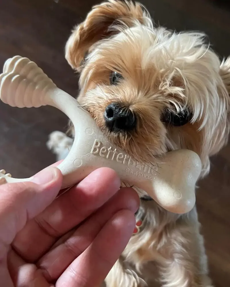 Natural Hypoallergenic Eco-Friendly Dog Chew Toy