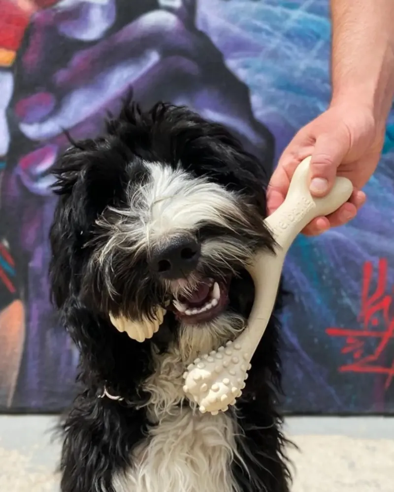 Natural Hypoallergenic Eco-Friendly Dog Chew Toy